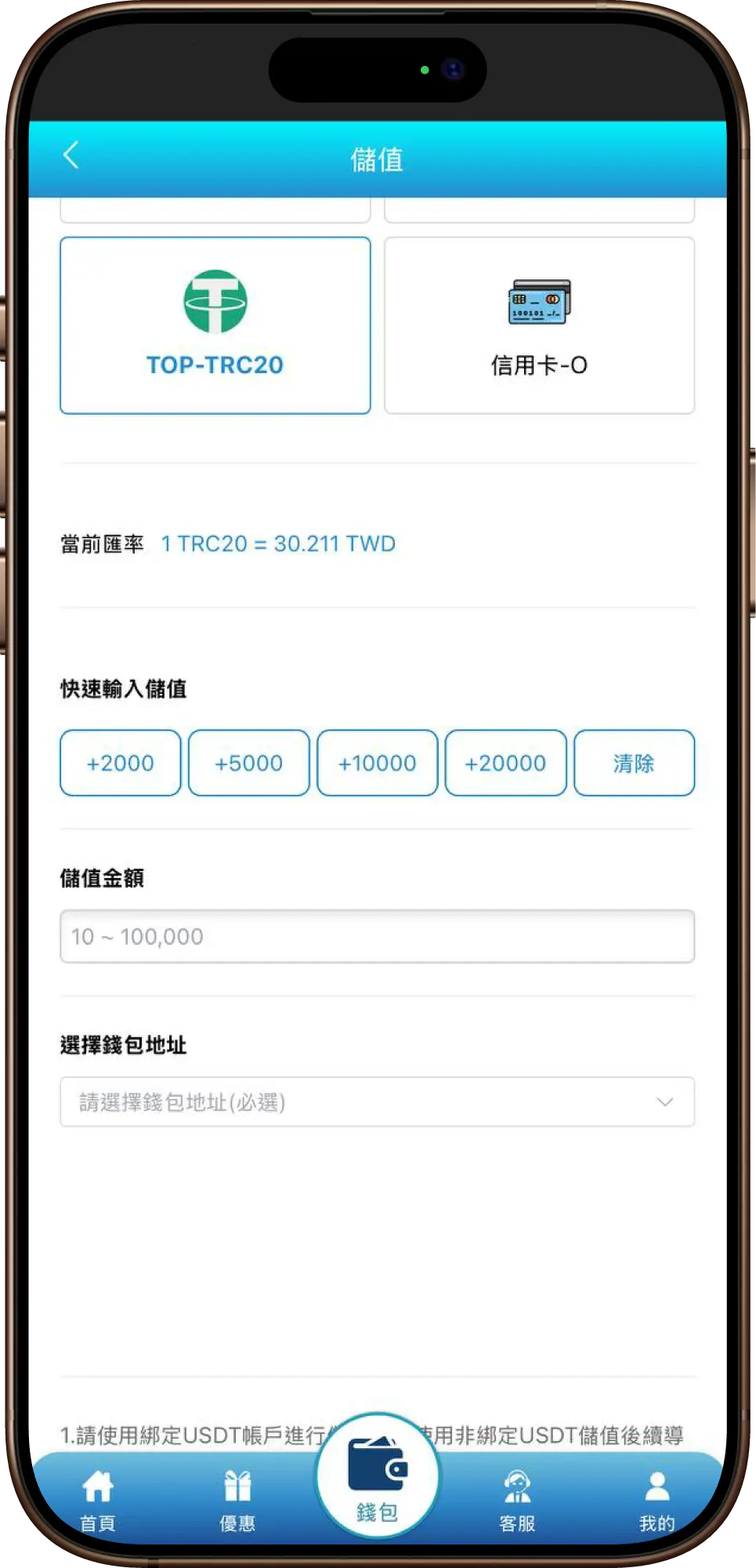 USDT儲值畫面2